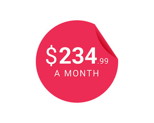 Monthly $234.99 US Dollars icon, $234.99 a Month tag