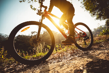 Woman cyclist cycling on sunrise winter forest trail