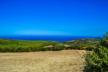 Fototapeta premium Yellow soil, green plants, blue sky and marmara sea during sunny day. Mudanya, Bursa, Turkey.