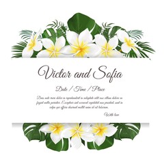 set of vector frames with flowers