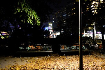 05.11.2011. Berlin. Germany. Berlin during fall and night. Street covered by yellow leaves and...