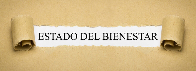 Estado del bienestar