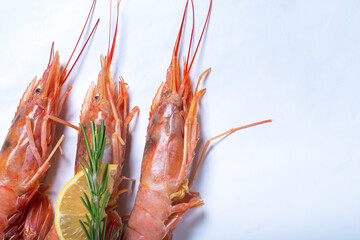 Large red shrimp with rosemary and lemon on a white background.