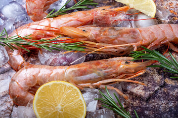 Argentinean wild shrimps with lemon and rosemary close-up on ice.