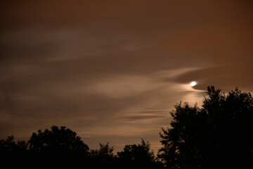 moon through clouds. photographed with exposure time. clouds in the dark. forest silhouette at night
