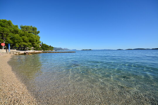 beach with water