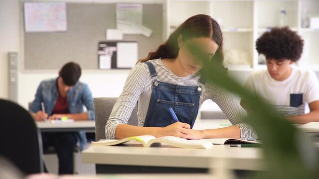 Happy college student smiling during lesson. Portrait of smart girl looking at camera while studying in high school. University young woman sitting at desk completing project and assignment.