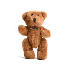 cute little teddy bear stands on white isolated background