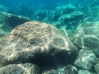 seabed with large stones. shallow waters near the coast. clear water of the tropical sea