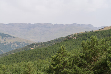 Obraz premium Mountain landscape in Sierra Nevada