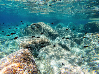 seabed with large stones. shallow waters near the coast. clear water of the tropical sea