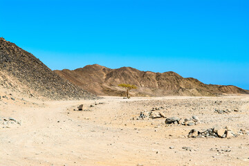 Fototapeta na wymiar Landscape of the Arabian desert