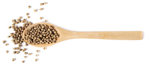 Coriander seeds in wooden spoon isolated on white background, top view
