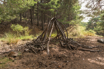 wooden sticks stacked in the forest