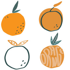 Orange exotic fruit modern flat vector illustration, simple and minimalistic set of oranges for print and web design