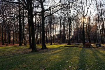 Park Kościuszki w słoneczny zimowy dzień © Miroslaw