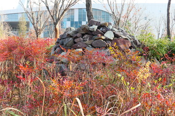Late autumn park landscape