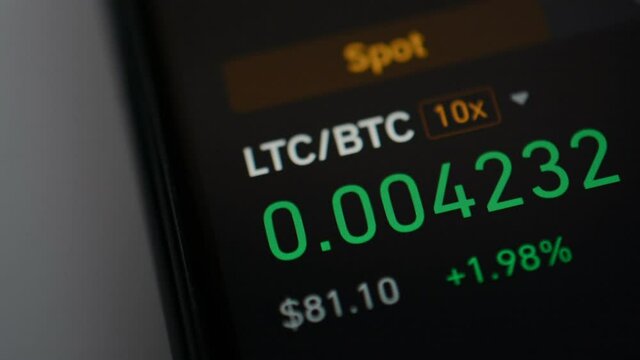 Litecoin Bitcoin price in December 2020 close up