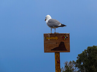 Valencia Alicante Strand