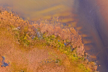 Keszthely, Fenékpuszta, Hungary - Aerial view of beautiful reeds formation at Lake Balaton with...