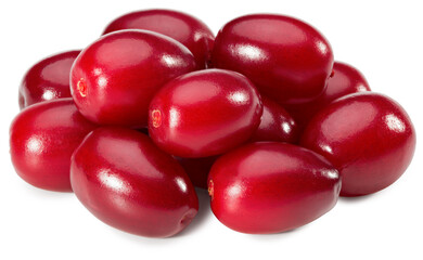 dogwood berries with green leaf isolated on white background. clipping path. full depth of field