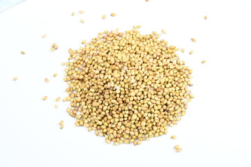 Coriander whole scattered on a plain white background