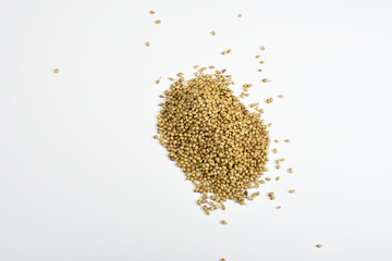 Coriander whole scattered on a plain white background