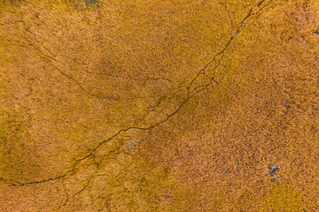 Keszthely, Fenékpuszta, Hungary - Aerial view of beautiful reeds formation at Lake Balaton with...