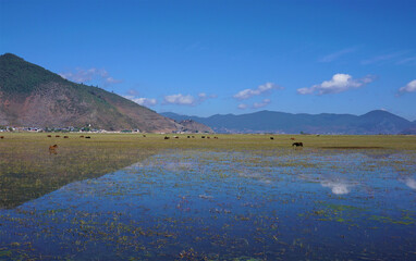 Napa Lake surrounded by Mountain in Shangri La, Yunnan Province, China.