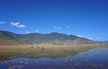 Napa Lake surrounded by Mountain in Shangri La, Yunnan Province, China.