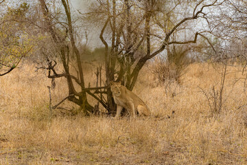 Kruger National Park