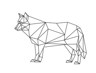 Isolated wolf in low poly style on white background. Polygonal illustration of an animal of prey composed of triangles. Geometric design for print on clothing or poster. Vector illustration.