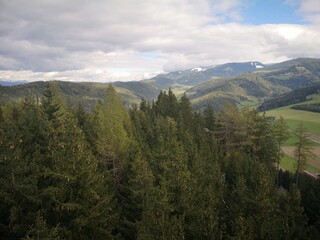 Wipfelwanderweg Rachau Steiermark