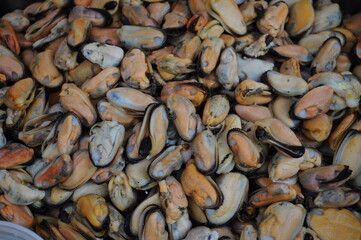 Shelled mussels ready to cook