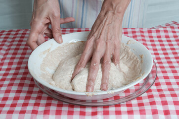 Kneading a dough of bread in a bowl. Female hands working. Making pizza. Cooking at home. Homemade food. Italian cloth.