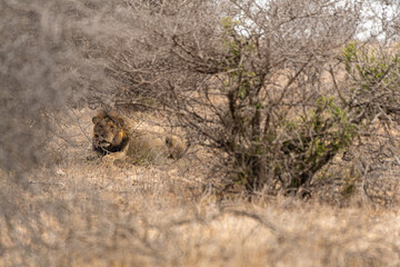 Kruger National Park