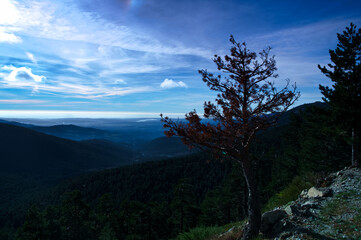 krajobraz góry drzewa jesień natura rośliny