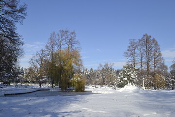 Panorama of the city park covered with snow in Novi Sad 