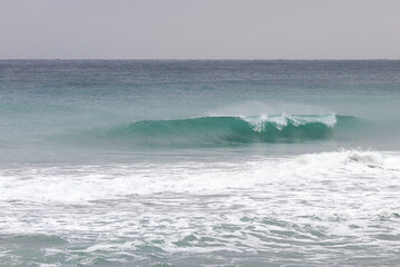 surf9