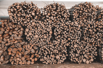 Log trunks pile
