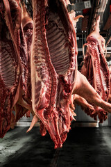 Fototapeta na wymiar Schweinehälften in Kühlraum in einem Fleischbetrieb