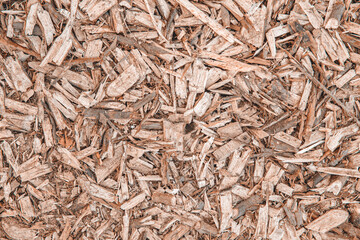 Background with wood shavings