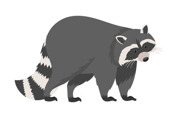 Funny Raccoon with Striped Tail in Walking Pose Vector Illustration