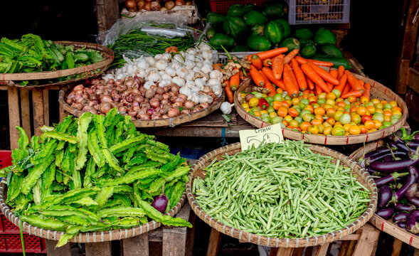 A selection of bitter gourds, eggplants, green beans, tomatoes, winged beans, carrots, onions and garlic at a Philippine market. Several flies swarm and land on the vegetables, raising health issues