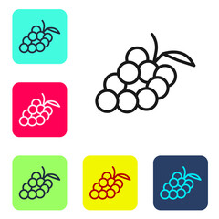 Black line Grape fruit icon isolated on white background. Set icons in color square buttons. Vector.