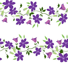 Seamless vector illustration with a flowers clematis on a white background.