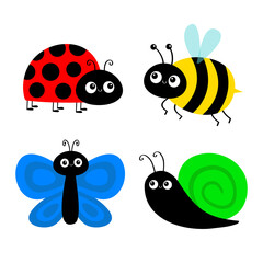 Bee bumblebee, butterfly, snail cochlea, lady bug ladybird flying insect icon set. Ladybug. Cute cartoon kawaii funny baby character. Happy Valentines Day. Flat design. White background.