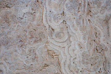 Natural freshwater limestome (Italian banded marble, calc tufa, travertin) textured structure