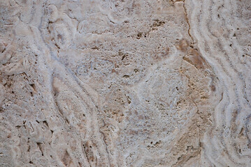 Natural freshwater limestome (travertin, Italian banded marble, calc tufa) texture