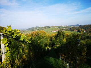 Südoststeiermark, Weststeiermark und südsteiermark Weinstraße im Herbst